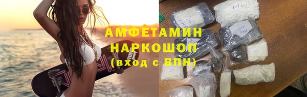мет Алексин