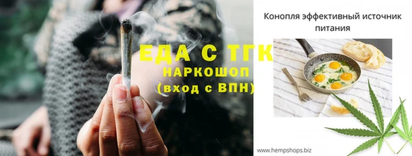 мет Алексин