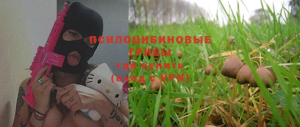 мет Алексин